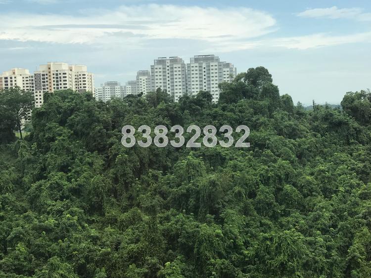 Blk 112B Depot Road (Bukit Merah), HDB 5 Rooms #148429862